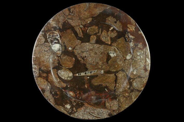 Fossil Orthoceras & Goniatite Round Plate - Stoneware #133555